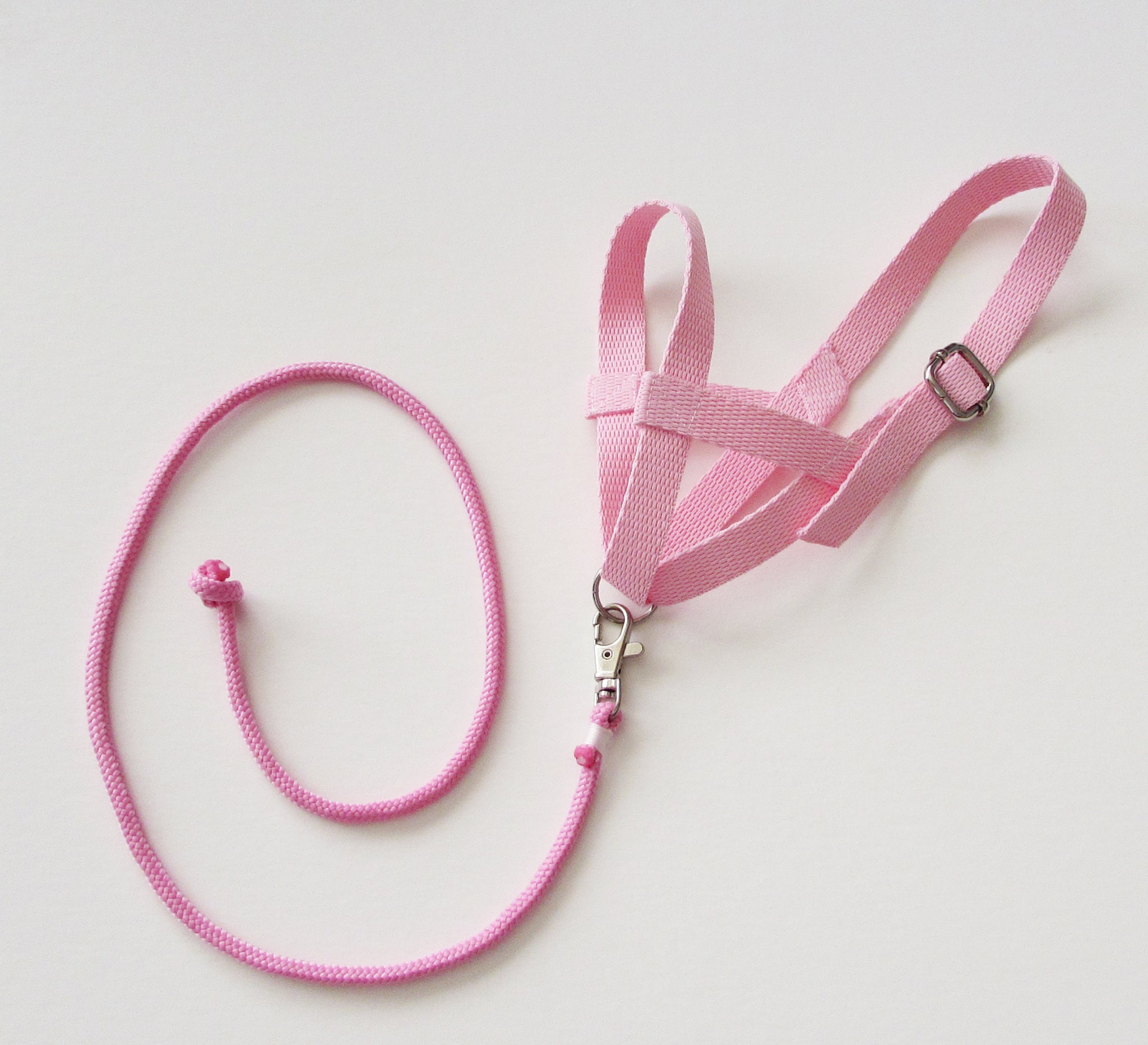 Pink halter and lead rope